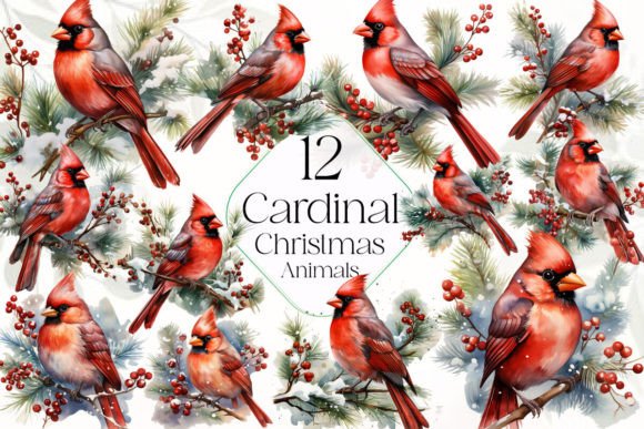 Cardinal Christmas Sublimation Clipart & Illustrations